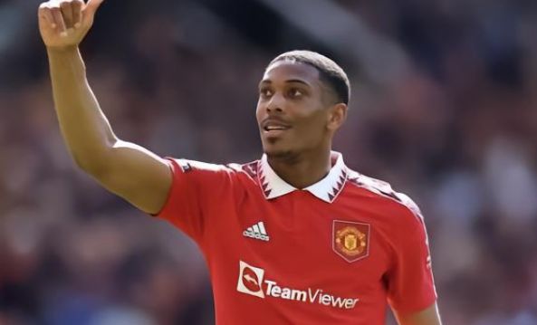 拉菲尼亚本 拉菲尼亚本